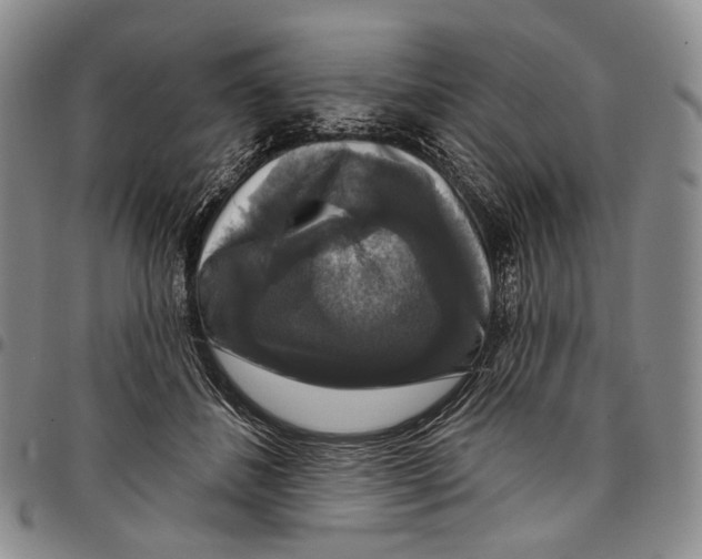 X0000097990508200804141145