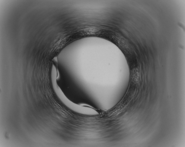 X0000097990509200804141145