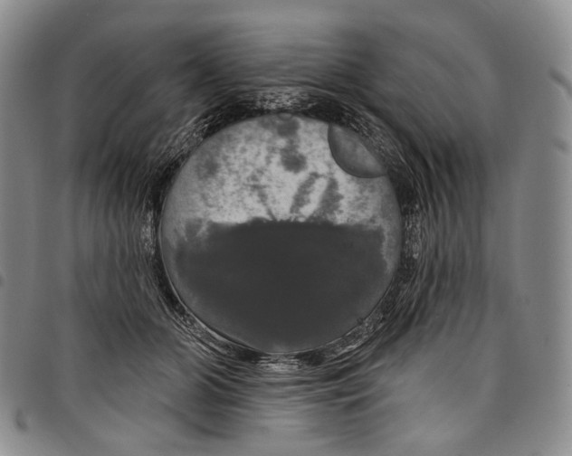 X0000097990510200804141145