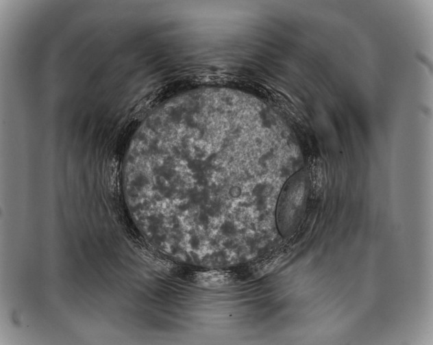 X0000097990511200804141145