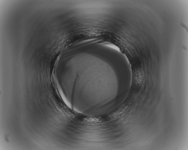 X0000097990512200804141145