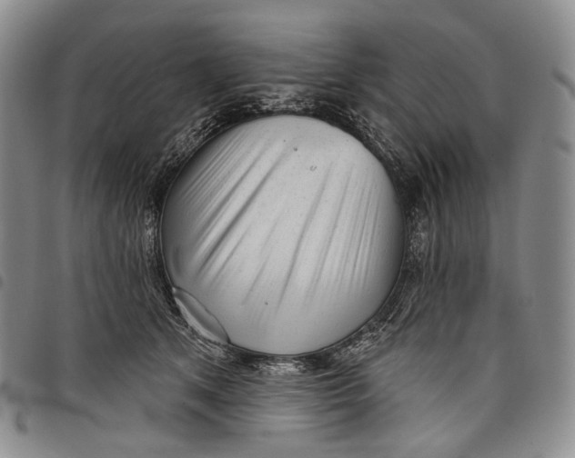 X0000097990513200804141145