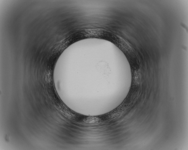 X0000097990514200804141145