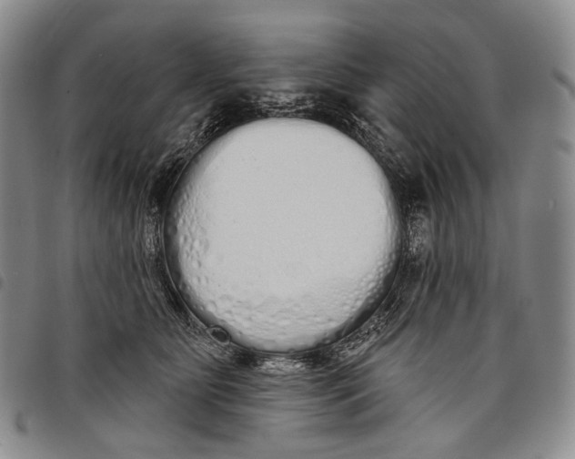 X0000097990515200804141145