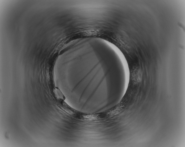 X0000097990516200804141145