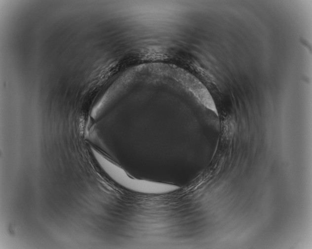 X0000097990517200804141145