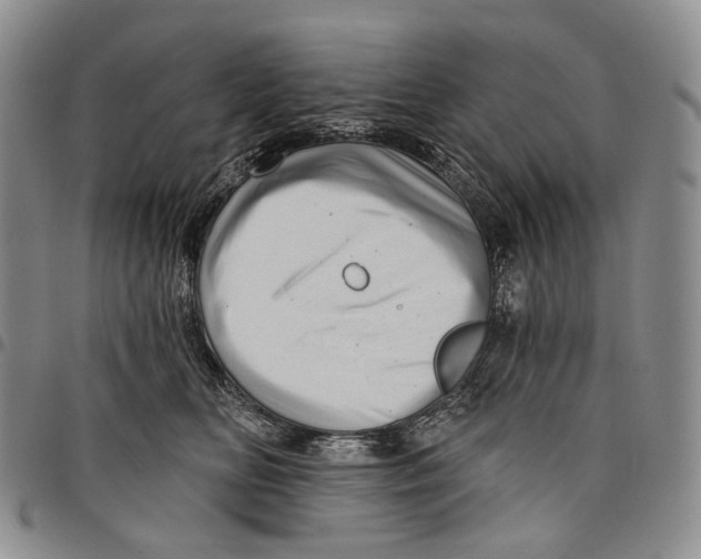 X0000097990518200804141144