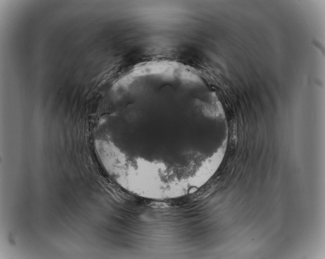 X0000097990519200804141144