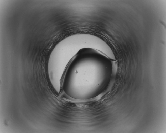 X0000097990520200804141144