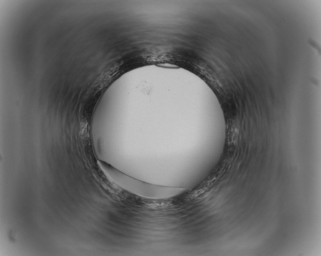 X0000097990521200804141144