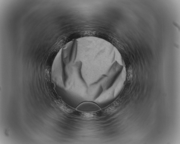 X0000097990522200804141144