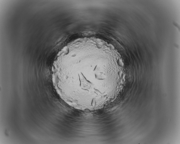 X0000097990523200804141144