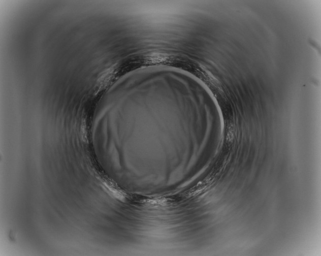 X0000097990524200804141144