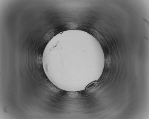 X0000097990525200804141144