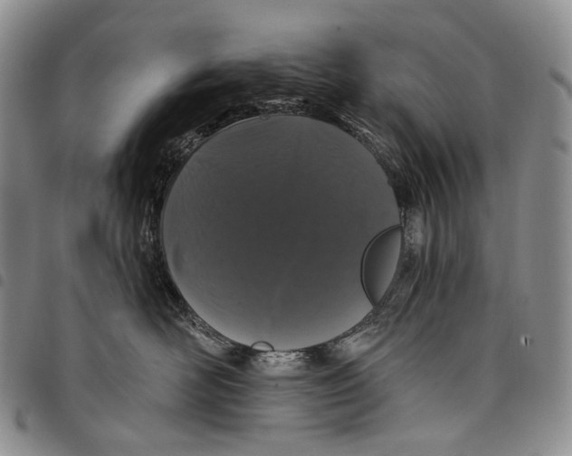 X0000097990526200804141144