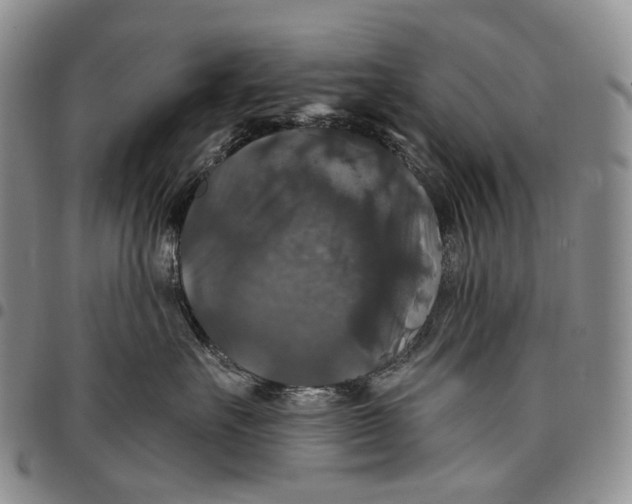 X0000097990527200804141144