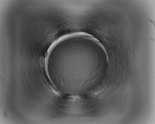 X0000097990528200804141144