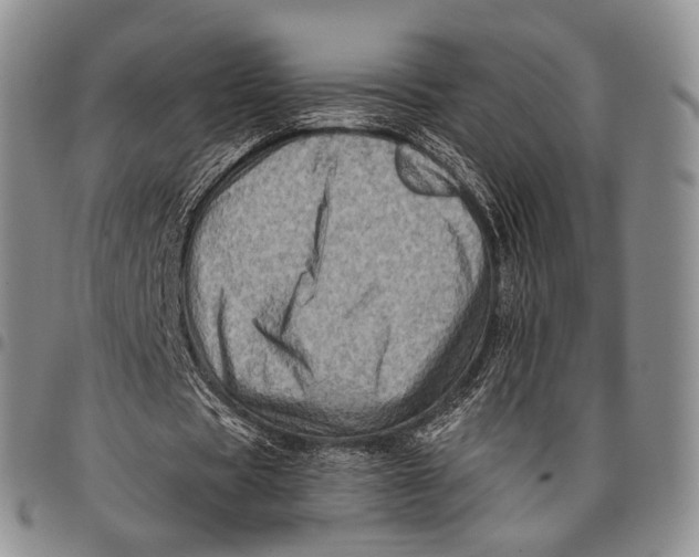 X0000097990529200804141144