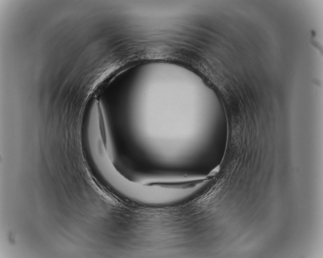 X0000097990530200804141144