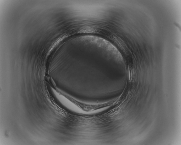 X0000097990531200804141144