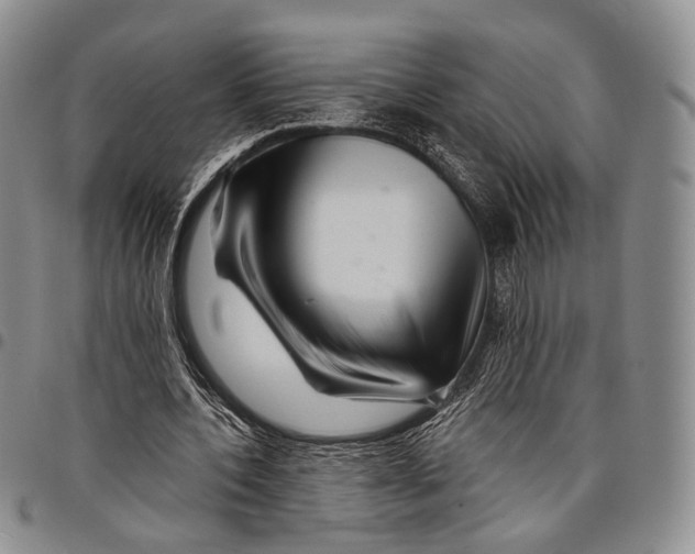 X0000097990532200804141144