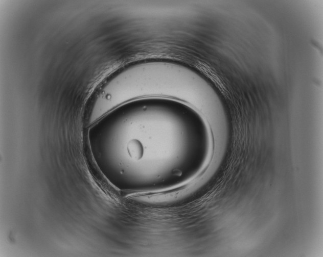 X0000097990534200804141144