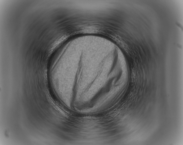 X0000097990535200804141144