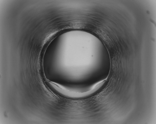 X0000097990536200804141144