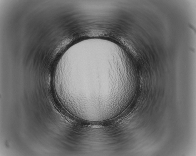 X0000097990539200804141144