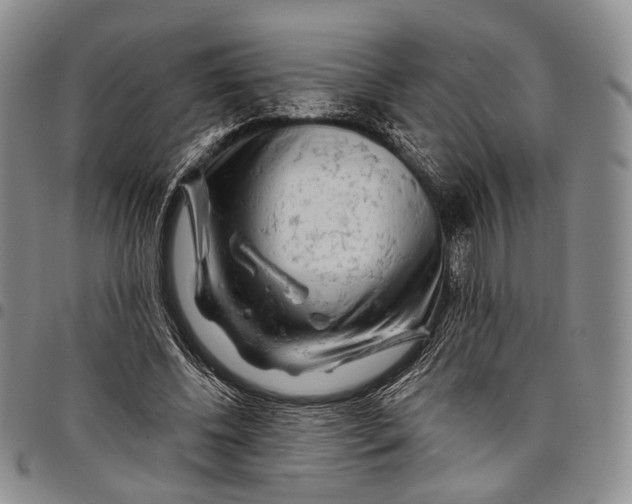 X0000097990540200804141144