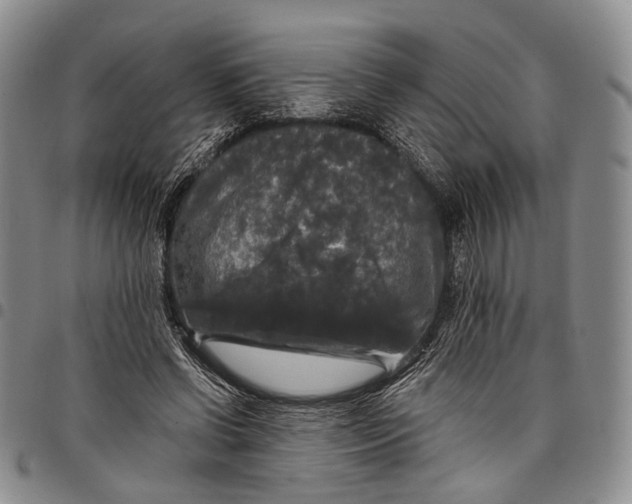 X0000097990542200804141144