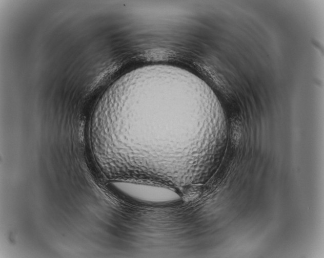 X0000097990543200804141144