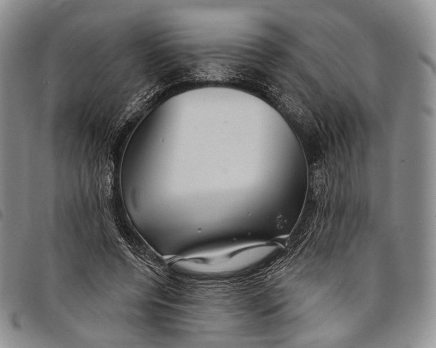 X0000097990544200804141144