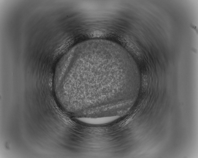 X0000097990545200804141144