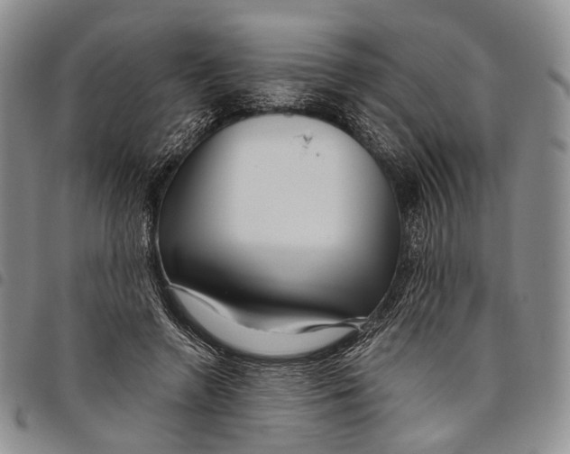 X0000097990546200804141144