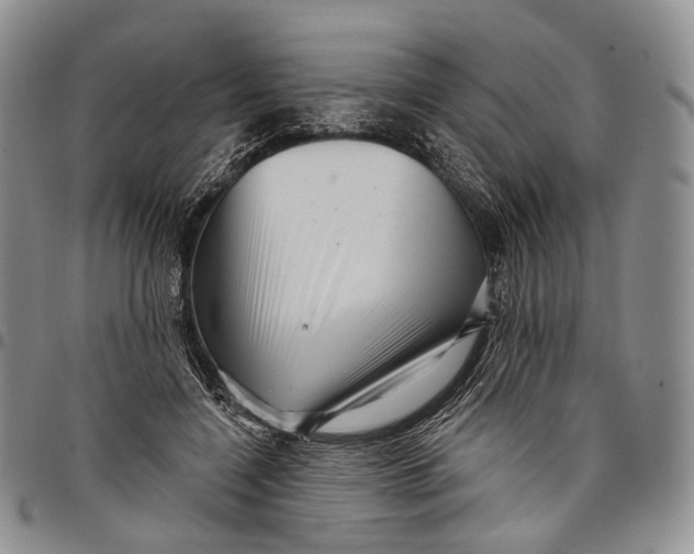 X0000097990548200804141144