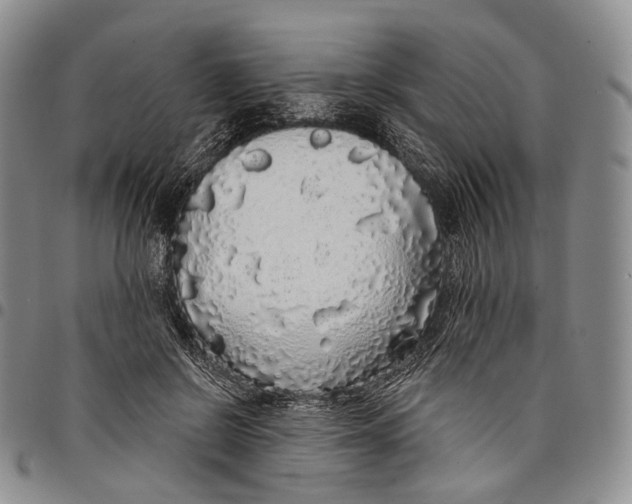 X0000097990550200804141144