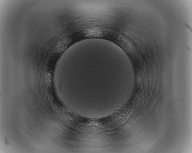 X0000097990551200804141144