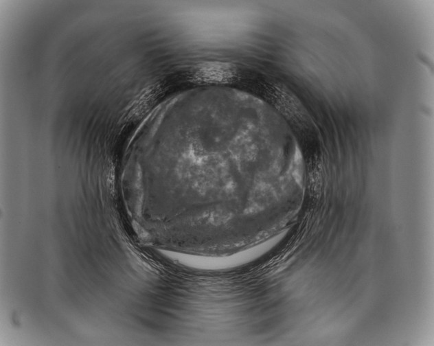 X0000097990552200804141144