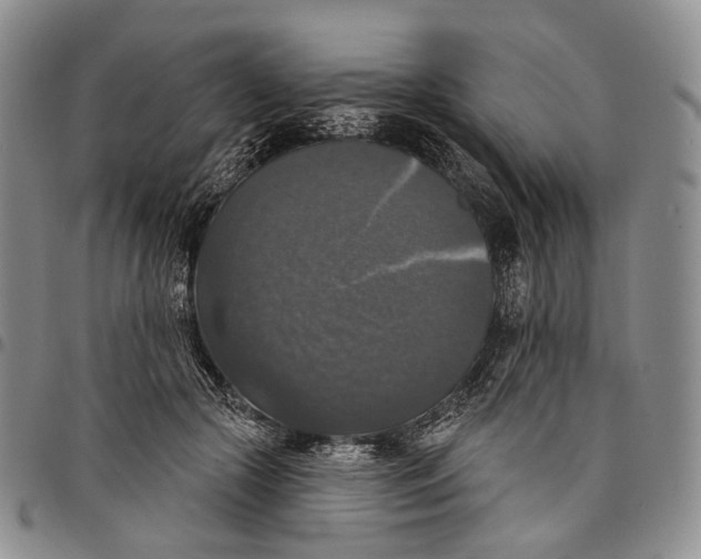 X0000097990553200804141144