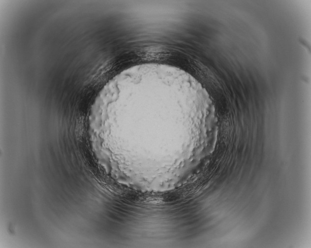 X0000097990554200804141144