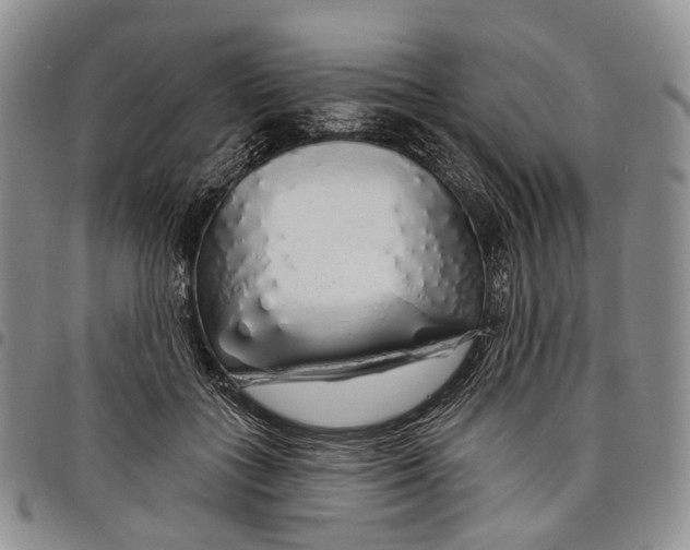 X0000097990555200804141144