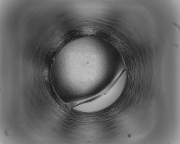 X0000097990556200804141144