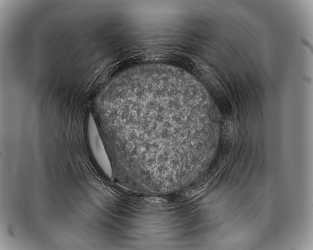 X0000097990557200804141144