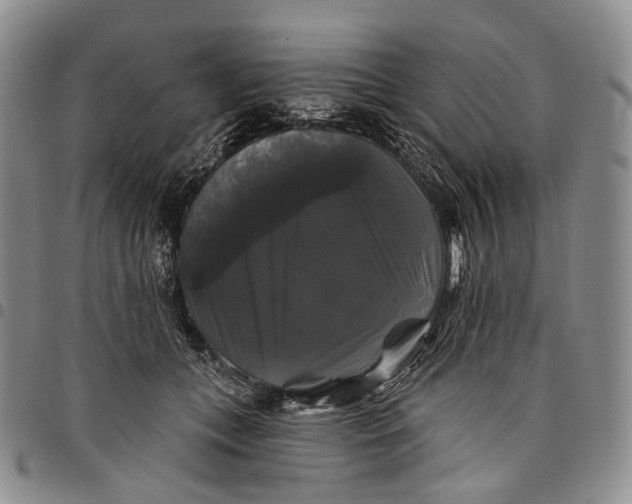 X0000097990559200804141144