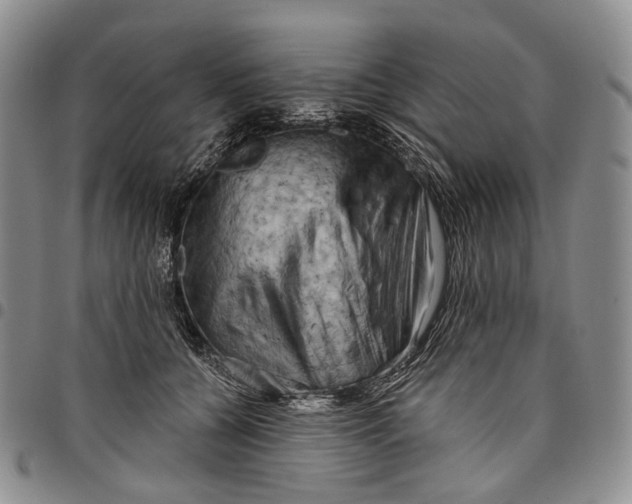 X0000097990560200804141144