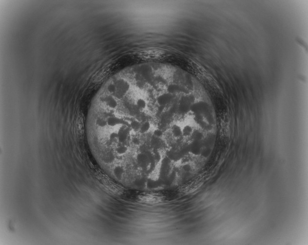 X0000097990561200804141144