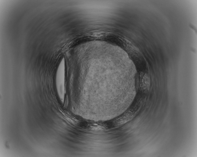 X0000097990562200804141144