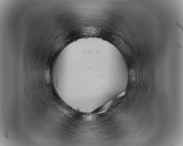 X0000097990564200804141144