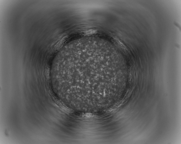 X0000097990565200804141144